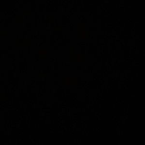 Meet your Posher, Wanda